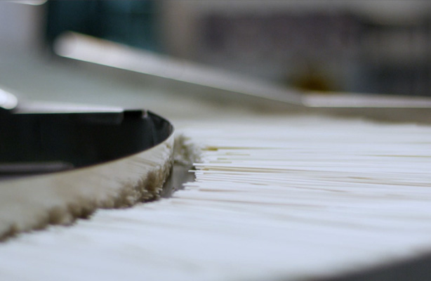 面條為什么會(huì)生蟲(chóng)？